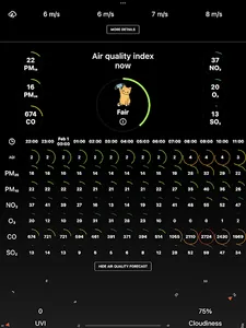 Singapore Metcast screenshot 21