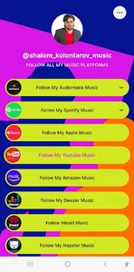 Music Artist Shalom screenshot 6