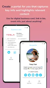 Netblitz Content Portal screenshot 1