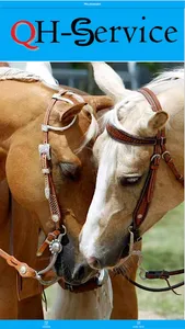 QH-Service screenshot 0