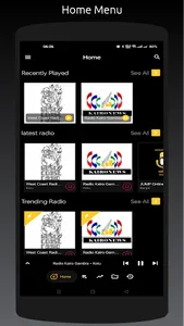 Radio GM: All Gambia Stations screenshot 0