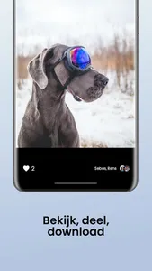 Piccy screenshot 3