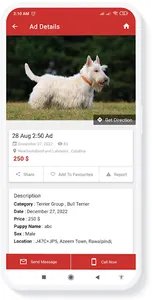 Puppy Market Buy, Sell & Adopt screenshot 2