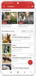 Puppy Market Buy, Sell & Adopt screenshot 4