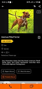 Drinah screenshot 13