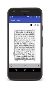 Surah Yaseen screenshot 4