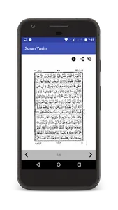Surah Yaseen screenshot 5