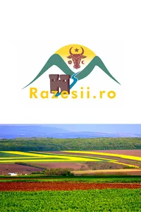 Razesii.ro screenshot 0