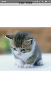 Nama nama haiwan screenshot 1