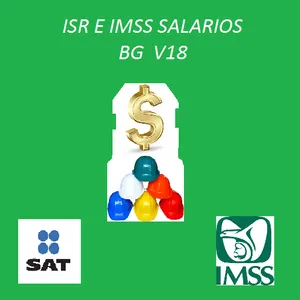 ISR E IMSS SALARIOS BG V18 screenshot 1