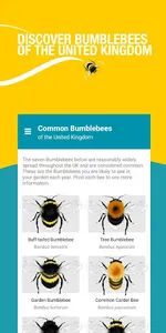 Bumblebees UK: A pocket guide screenshot 0