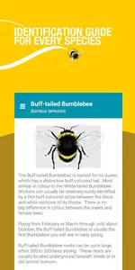 Bumblebees UK: A pocket guide screenshot 1