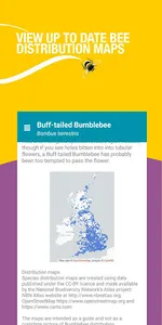 Bumblebees UK: A pocket guide screenshot 2
