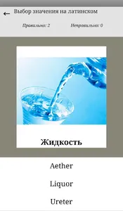 Основы Латинского языка screenshot 1