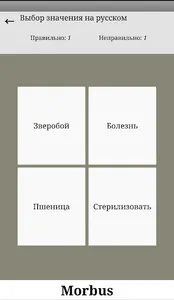 Основы Латинского языка screenshot 4