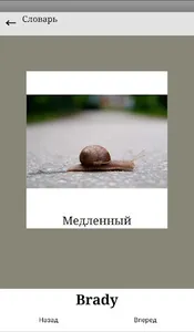 Основы Латинского языка screenshot 6