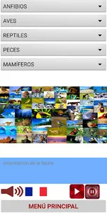 Descubre Coria screenshot 1