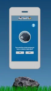 Meteorito ID screenshot 3