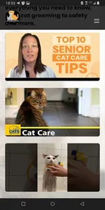 Paws & Tails Corner screenshot 12