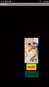 Gatos screenshot 11
