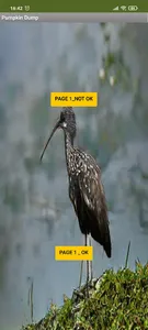 Pumpkin Dump screenshot 0