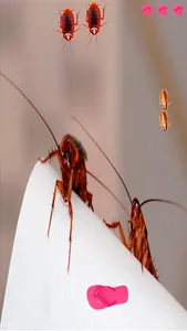 Insect Battle screenshot 1