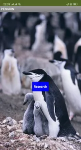 PENGUIN screenshot 0
