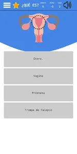 CrESI screenshot 2
