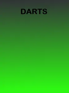 Gaels Darts screenshot 1