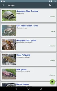 Galapagos Wildlife screenshot 7