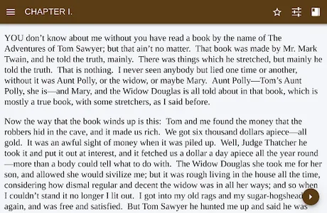 Adventures of Huckleberry Finn screenshot 2
