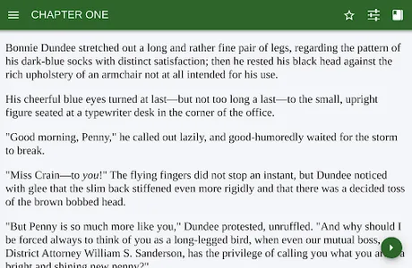 Murder at Bridge – Public Doma screenshot 2