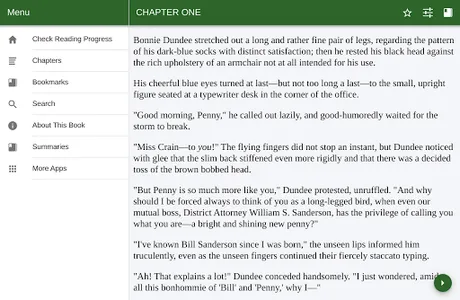 Murder at Bridge – Public Doma screenshot 3