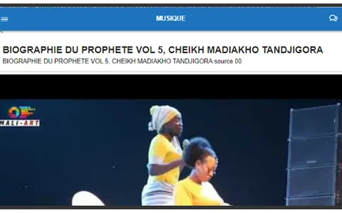 SONINKARA TV screenshot 6