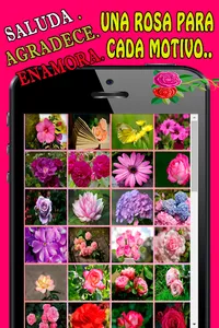 colored roses with phrases to  screenshot 2
