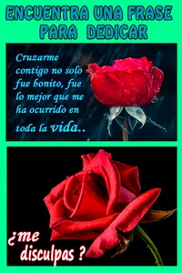 colored roses with phrases to  screenshot 5