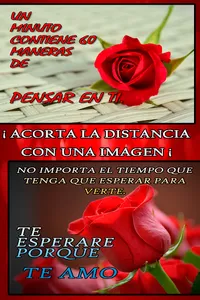 colored roses with phrases to  screenshot 7
