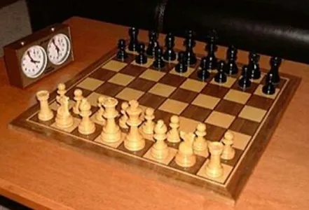 Learn chess and its techniques screenshot 0