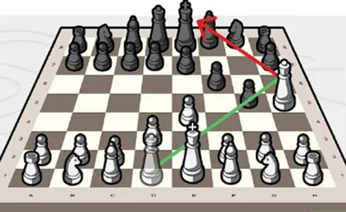 Learn chess and its techniques screenshot 2