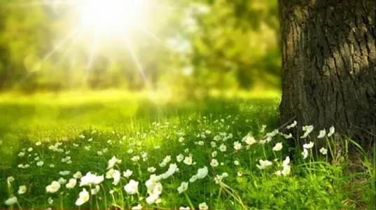 Free relaxation techniques. screenshot 0