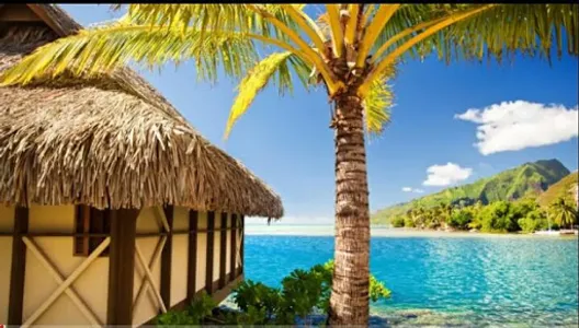 Free relaxation techniques. screenshot 4