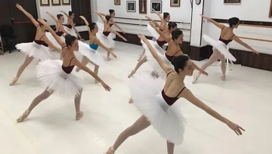 Ballet learn dance classes screenshot 1