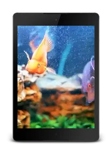 Aquarium Live Wallpaper screenshot 9