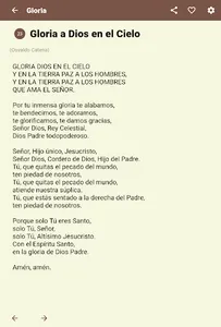 Cancionero NS del Carmen screenshot 5