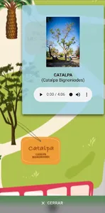 Árboles Ciudadanos 2.0 screenshot 4