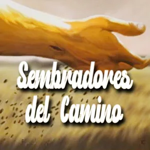 Radio Sembradores Del Camino screenshot 1