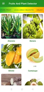 Fruits & Plants Detector screenshot 2
