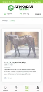 Atın Kadar Varsın screenshot 0