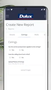 Dulux Painter QA screenshot 2