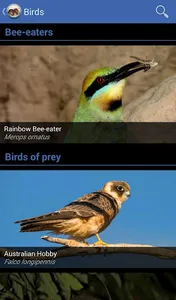 Field Guide to NSW Fauna screenshot 1